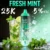 FRESH MINT