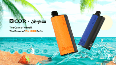 Jednorazówki e-papierosy xcor hawaii pro 23000 puffs detail-1-1
